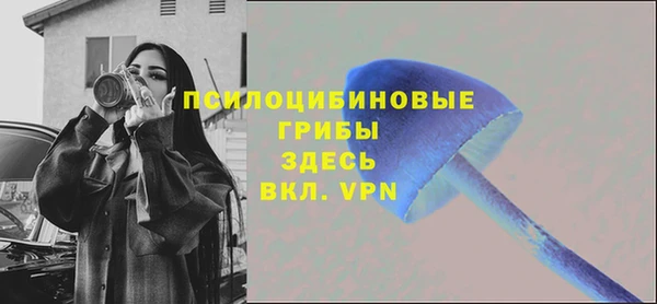 хмурый Богданович