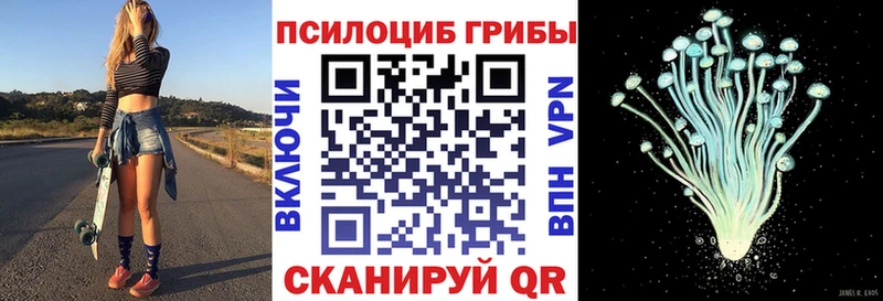 Псилоцибиновые грибы прущие грибы  Егорьевск 